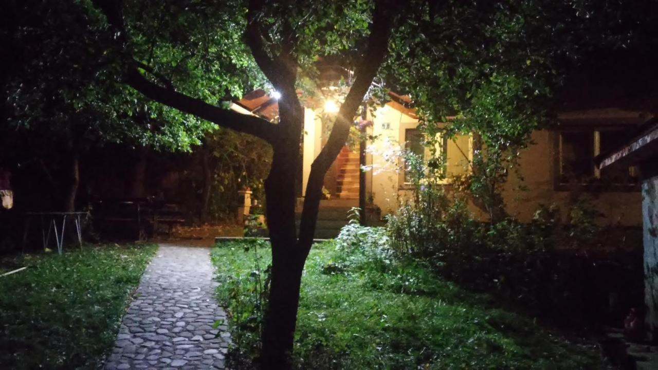 Guest Accommodation Bakic Kolaşin Dış mekan fotoğraf