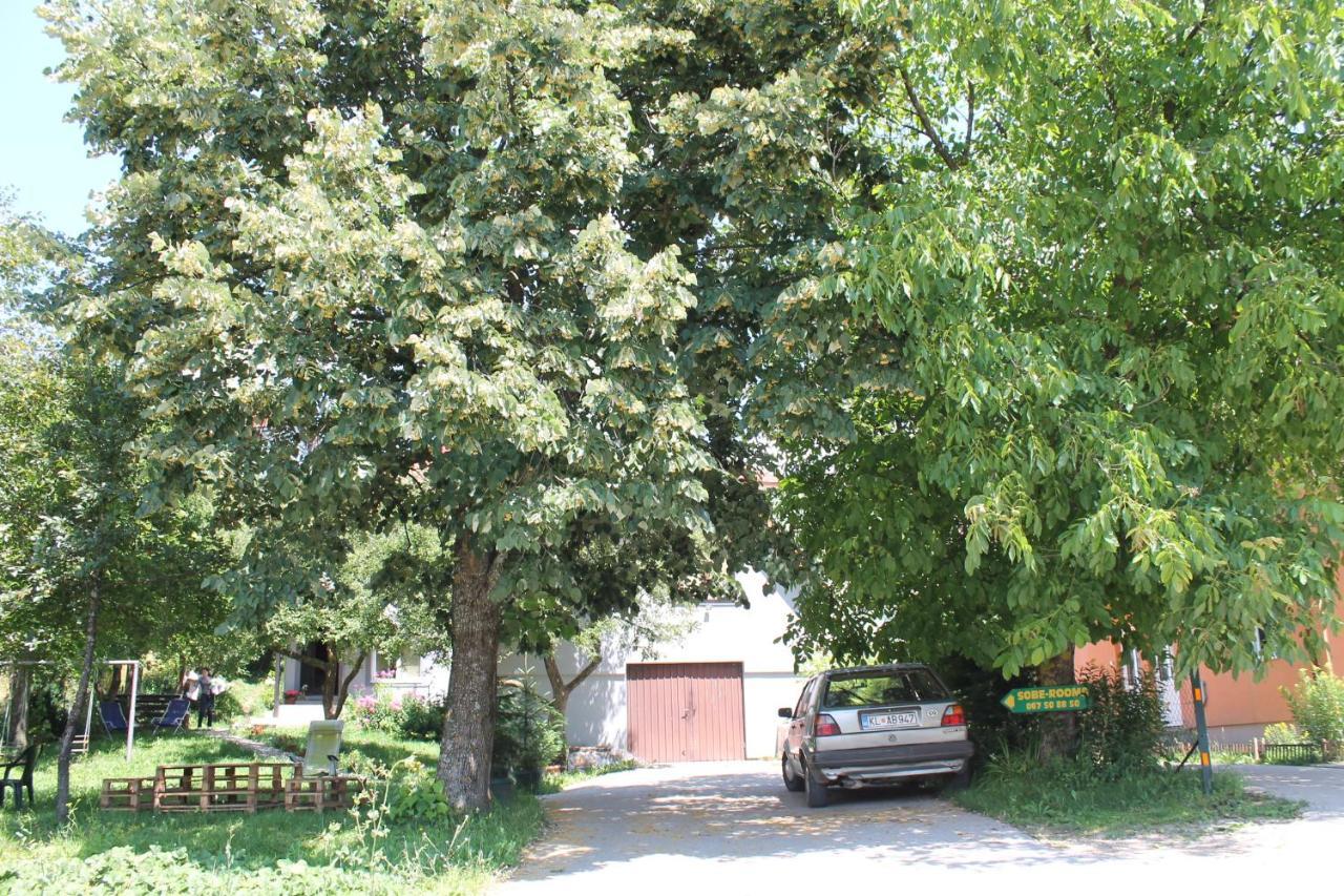 Guest Accommodation Bakic Kolaşin Dış mekan fotoğraf