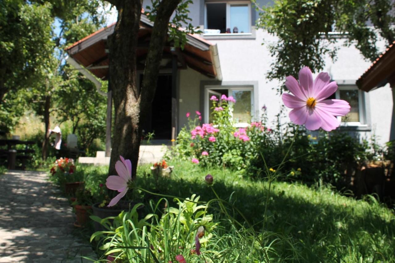 Guest Accommodation Bakic Kolaşin Dış mekan fotoğraf