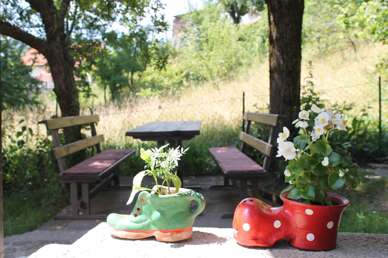 Guest Accommodation Bakic Kolaşin Dış mekan fotoğraf